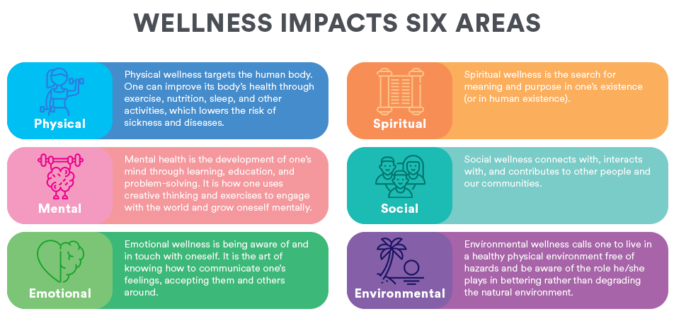 What Is Wellness 